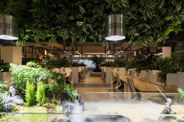 雨林景觀辦公室裝修設計